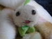 blog大頭照片